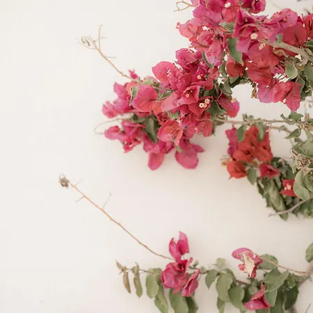 Mare Apartment Ambelas