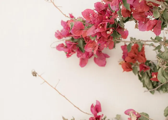 Mare Apartment Ambelas